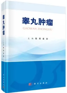 睾丸肿瘤