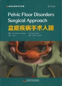 盆底疾病手术入路
