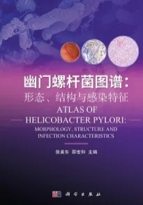 幽门螺杆菌图谱：形态、结构与感染特征