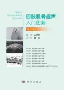 四肢肌骨超声入门图解（第2版）