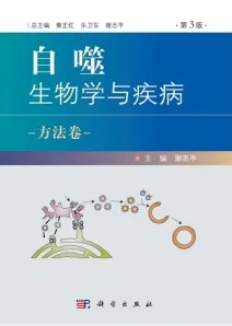 自噬 生物学与疾病 方法卷（第3版）