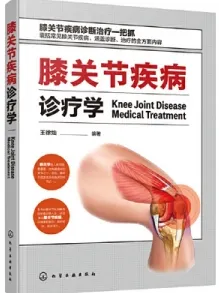 膝关节疾病诊疗学