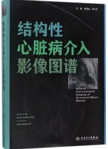 结构性心脏病介入影像图谱