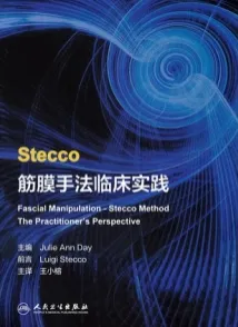 Stecco筋膜手法临床实践