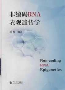 非编码RNA表观遗传学