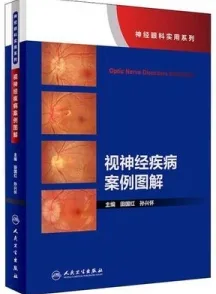 视神经疾病案例图解