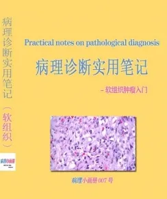 病理诊断实用笔记 软组织肿瘤入门