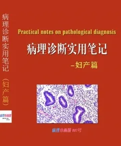 病理诊断实用笔记 妇产篇