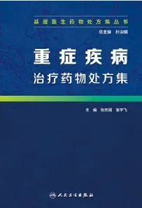 重症疾病治疗药物处方集 基层医生药物处方集丛书