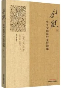针髓 张天文临床针灸经验集