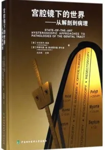 宫腔镜下的世界 从解剖到病理