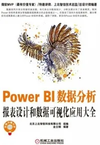 Power BI数据分析 报表设计和数据可视化应用大全
