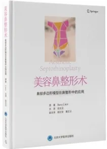美容鼻整形术鼻部多边形模型在鼻整形中的应用