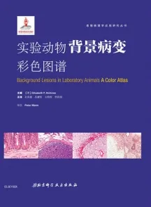 实验动物背景病变彩色图谱