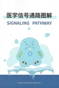 医学信号通路图解