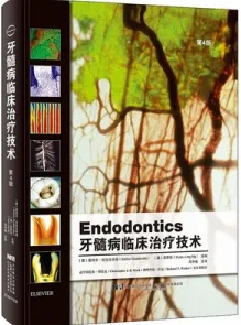 牙髓病临床治疗技术 第4版