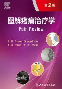 图解疼痛治疗学 第2版