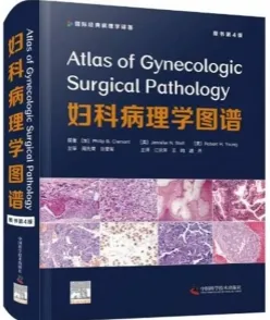 妇科病理学图谱 第4版