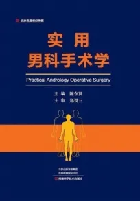 实用男科手术学