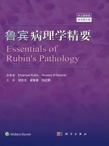 鲁宾病理学精要（原书第6版）
