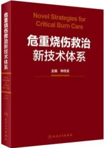 危重烧伤救治新技术体系