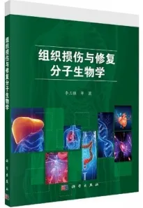 组织损伤与修复分子生物学