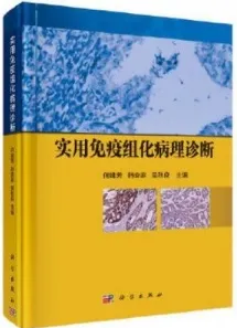实用免疫组化病理诊断