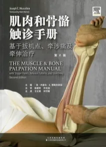 肌肉和骨骼触诊手册 基于扳机点牵涉痛及牵伸治疗 第2版