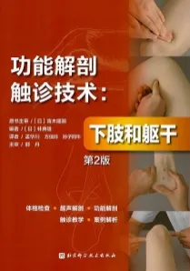 功能解剖触诊技术 下肢和躯干 第2版