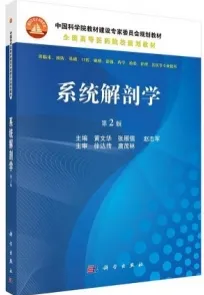 系统解剖学（第2版）