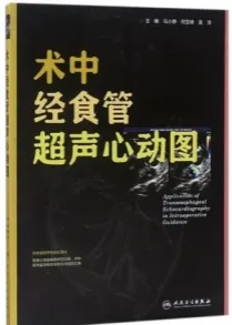 术中经食管超声心动图
