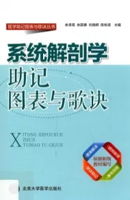 系统解剖学助记图表与歌诀