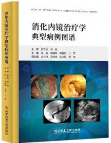 消化内镜治疗学典型病例图谱