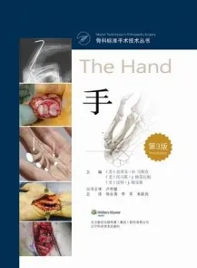 骨科标准手术技术丛书 手 第3版