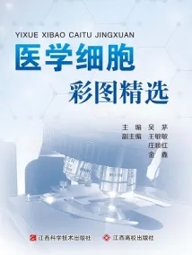 医学细胞彩图精选