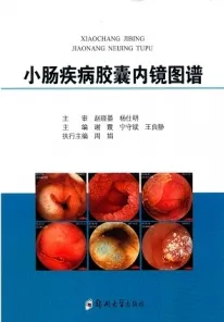 小肠疾病胶囊内镜图谱