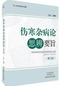 伤寒杂病论思辨要旨 第2版