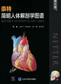 奈特简明人体解剖学图谱 第5版