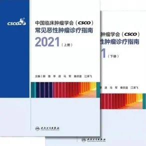 中国临床肿瘤学会（CSCO）常见恶性肿瘤诊疗指南2021 上下册