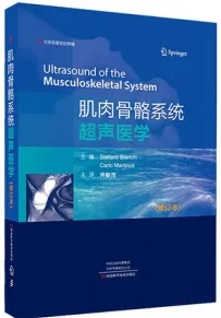 肌肉骨骼系统超声医学 修订本