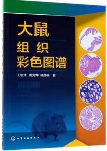 大鼠组织彩色图谱