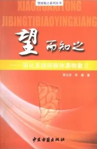 望而知之 消化系统疾病体表映象 II