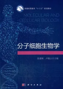 分子细胞生物学