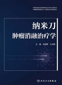 纳米刀肿瘤消融治疗学