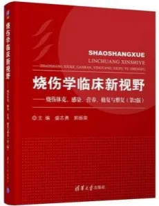 烧伤学临床新视野 烧伤休克、感染、营养、修复与整复（第2版）