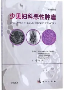 少见妇科恶性肿瘤