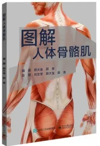 图解人体骨骼肌