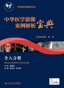 中华医学影像案例解析宝典 介入分册