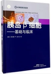 胰岛β细胞 基础与临床