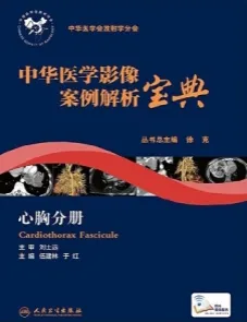 中华医学影像案例解析宝典 心胸分册